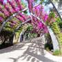 South Bank Grand Arbour