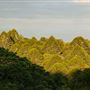 Bunya Mountains