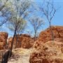 Baldy Top Lookout - Quilpie