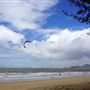 Palm Cove - Beach / Coastline