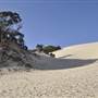 Mulgumpin (Moreton Island) - Big Sand Hills