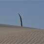 Mulgumpin (Moreton Island) - Big Sand Hills