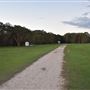 Coombabah Lakelands Conservation Area - Open Field & Forest