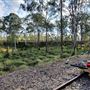 Queensland Pioneer Steam Railway