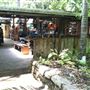 Nob Creek Pottery - Pottery Store & Gallery Space