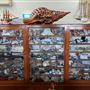 Shell World Yeppoon - Museum