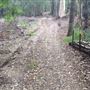 Mount Gravatt Outlook Reserve - Summit Track