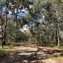 Brushtail Trail - Karawatha Forest Park