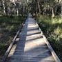 Karawatha Forest Park - Overview