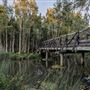 Karawatha Forest Park - Melaleuca Circuit