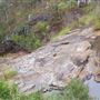 Mount Coot-tha Forest - Powerful Owl Trail