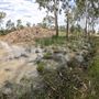 Willowbank MX