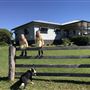 Tallavalley Farm