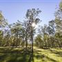 Bigges Camp Park