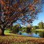 Toowoomba - Streetscape / Overview