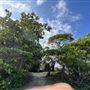 Rocky Point