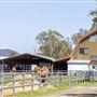Summer Land Camel Farm