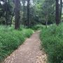 Bunya River Crossing (Albany Creek)