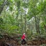 Mt Glorious