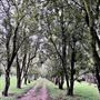 Neranwood Farm