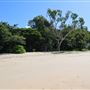 Kewarra Beach