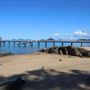 Palm Cove - Beach / Coastline