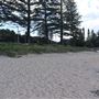 Shelly Beach