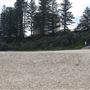 Point Cartwright Beach