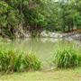 Currumbin Rock Pools