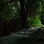 Currumbin Rock Pools