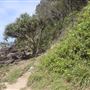 North of Boiling Pot/Tea Tree Bay
