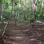 Peterson Creek Wildlife & Botanical Walking Track
