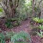 Peterson Creek Wildlife & Botanical Walking Track
