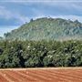 Tablelands Farming