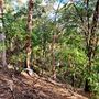 Hayes Property