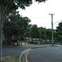 Wilson's Outlook Reserve