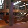 Queensland Museum - Interior