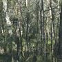 Epapah Creek - Karl's Pier track