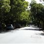 Chelmer Streetscape