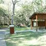 Cornubia Forest