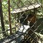 Daisy Hill Koala Centre