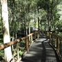 Daisy Hill Koala Centre
