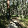Daisy Hill Conservation Park