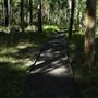 Daisy Hill Conservation Park