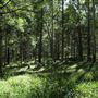 Daisy Hill Conservation Park