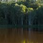 Hemmant Quarry Reserve