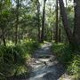 Venman Bushland