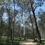Boondall Wetlands