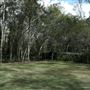 Boondall Wetlands