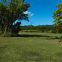 Curlew Park - Cabbage Tree Creek